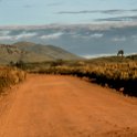 TZA_ARU_Ngorongoro_2016DEC26_Crater_002.jpg